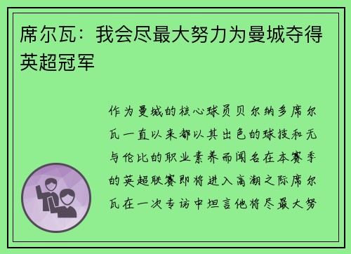 席尔瓦：我会尽最大努力为曼城夺得英超冠军